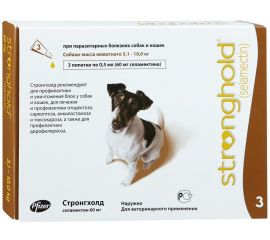 Стронгхолд