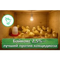 Байкокс 2,5% — защита кур от кокцидиоза, которой можно доверять