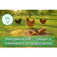 Ивермек OR — защита от паразитов, без которой не выжить