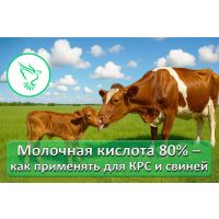Молочная кислота 80% — как работает и зачем нужна в хозяйстве