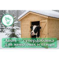 Не выбрасывай ель! Хвоя — супердобавка для животных и птицы