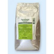 Антибиотик Гентамицин 10% 1 кг