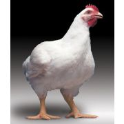 Премикс Бройлеры 1-30 дней 1% упак 25 кг