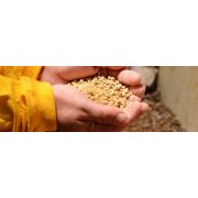 Премикс П 82-1 Козы,овцы 1%(упак 25кг)