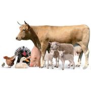 Альбак гранулят (Бацитрацин) стимулятор роста