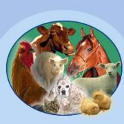 Гидротриприм 5л/канистра