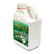 Синбетан 22, КС (160 г/л фенмедифама + 160 г/л десмедифама)