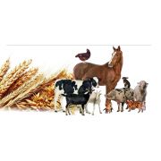 Сакролит 5кг