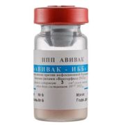 Вакцина Авивак ИББ штамм БГ против бурсальной болезни (живая сухая) 4000 д
