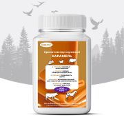 Ароматизатор Карамель 400 гр